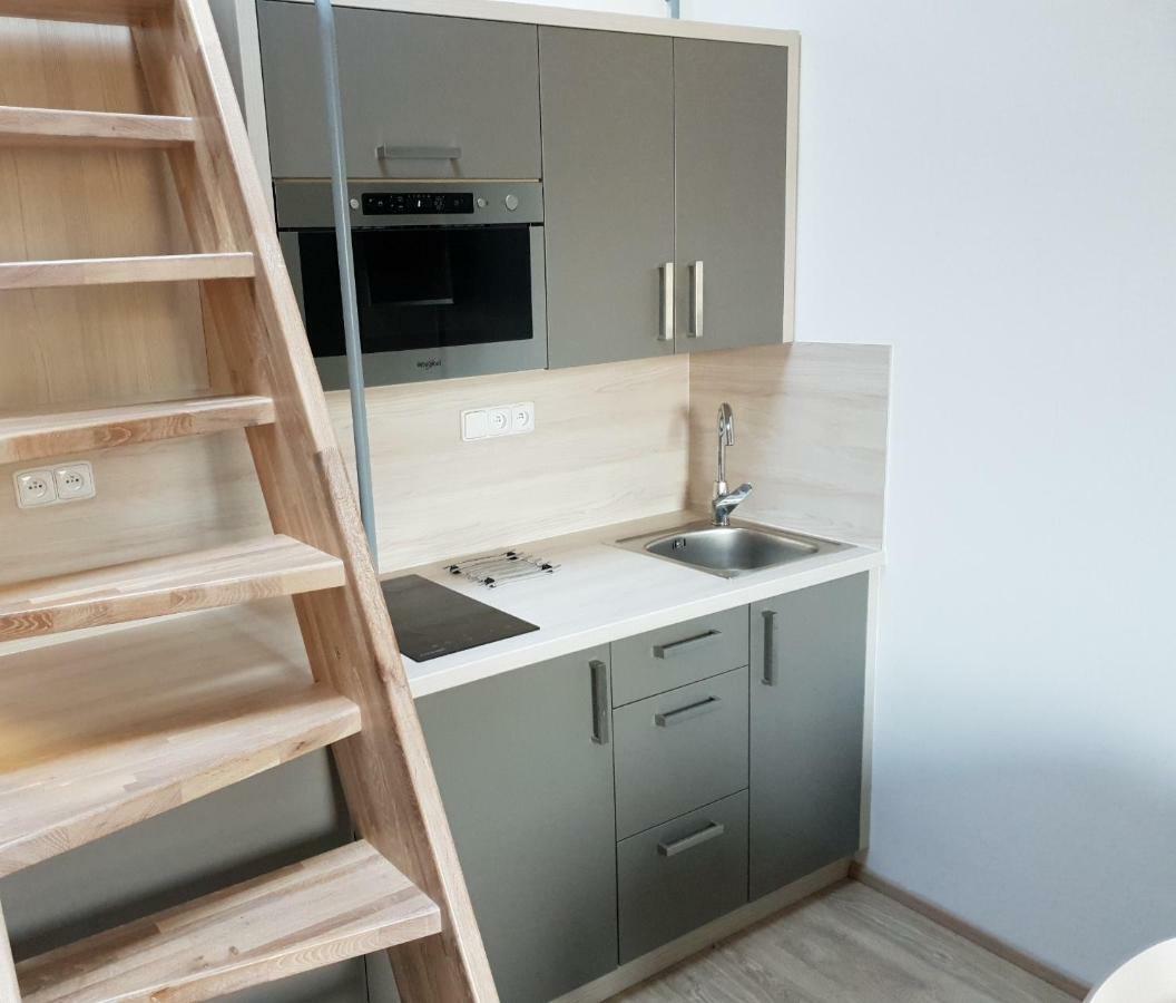 Apartman Pod Medvedi Horou Loučná nad Desnou Zewnętrze zdjęcie