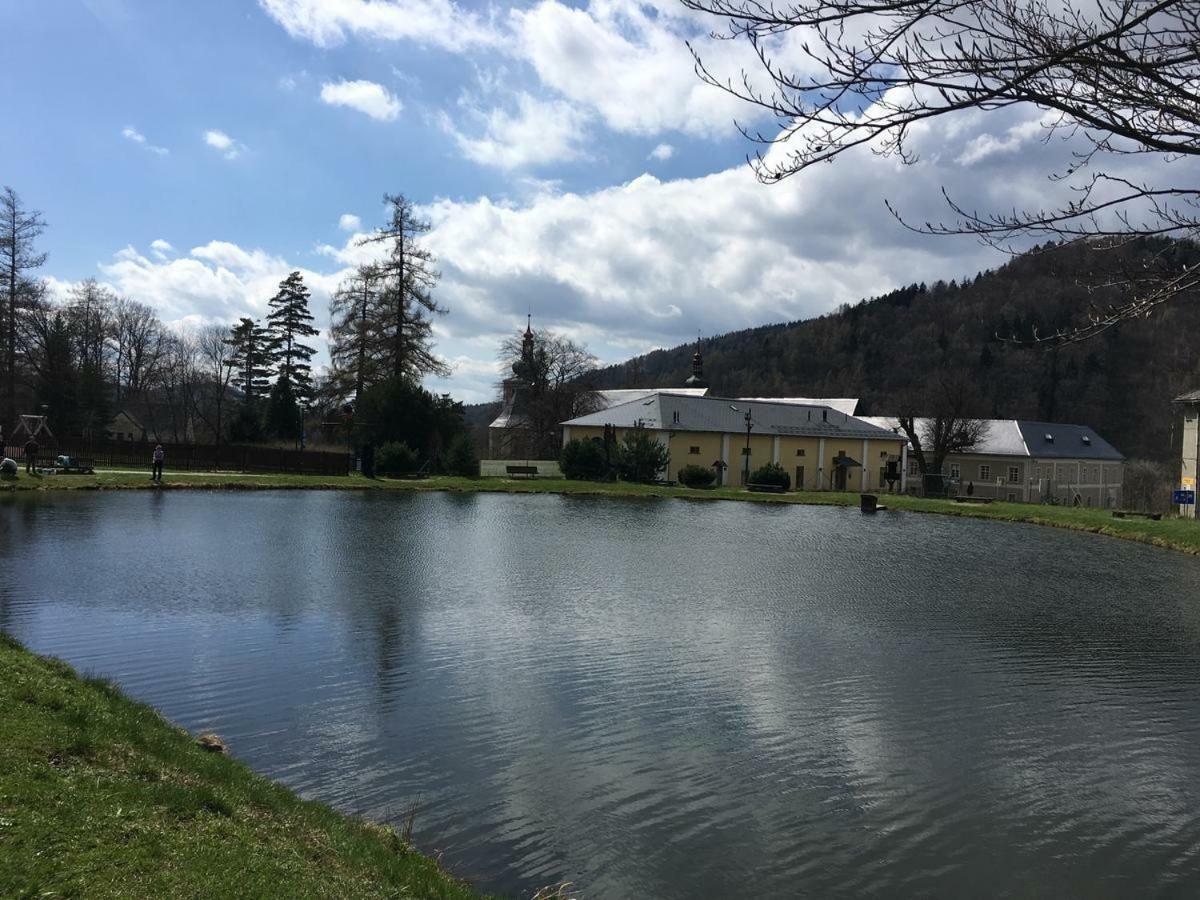 Apartman Pod Medvedi Horou Loučná nad Desnou Zewnętrze zdjęcie