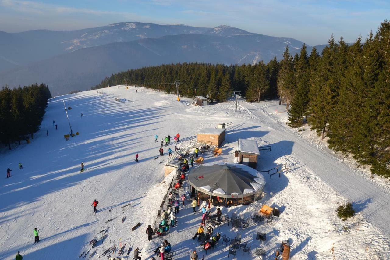 Apartman Pod Medvedi Horou Loučná nad Desnou Zewnętrze zdjęcie